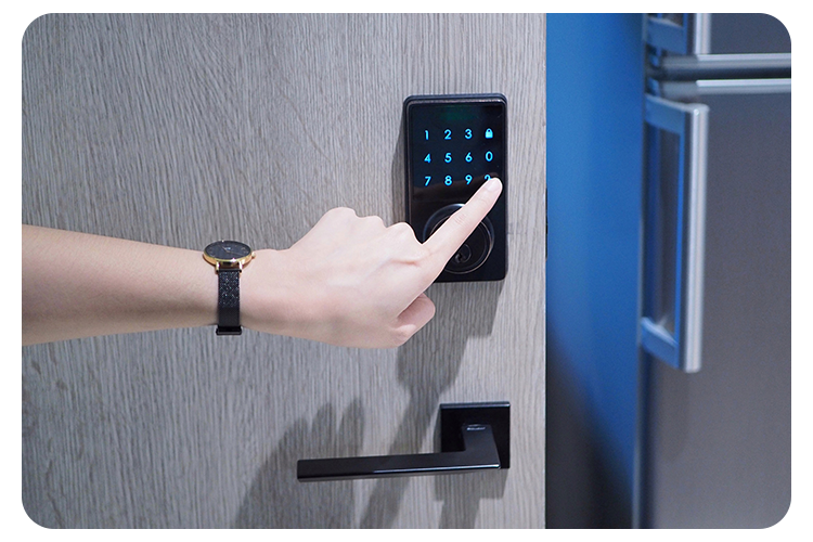 Electric Door Lock Systems